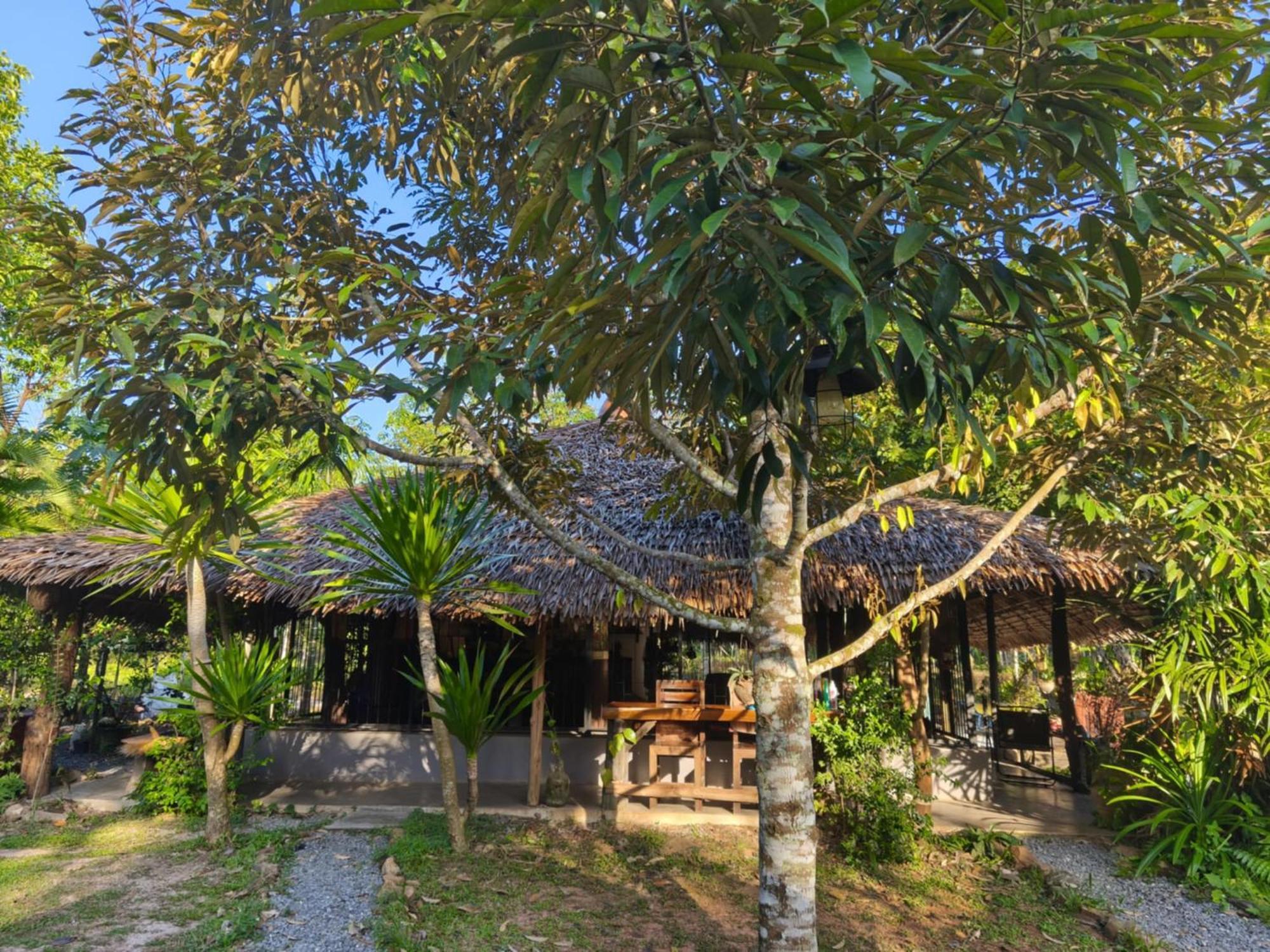 Baan Farang Homestay Phra Saeng Ban Nam Dam Exteriér fotografie