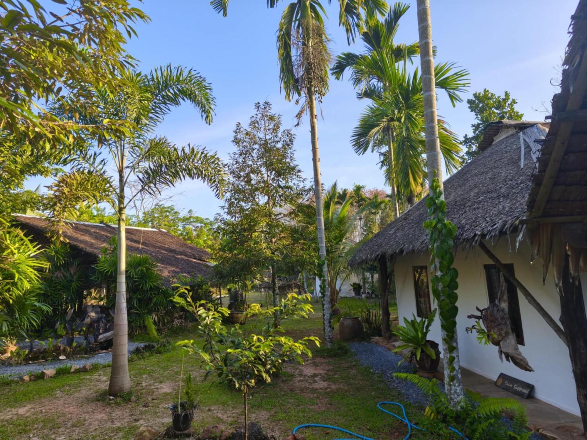 Baan Farang Homestay Phra Saeng Ban Nam Dam Exteriér fotografie